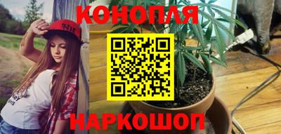 гашик Севастополь