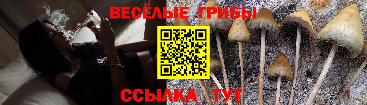 Псилоцибиновые грибы Psilocybine cubensis  Вход с VPN  Псилоцибиновые грибы прущие грибы  Прокопьевск 